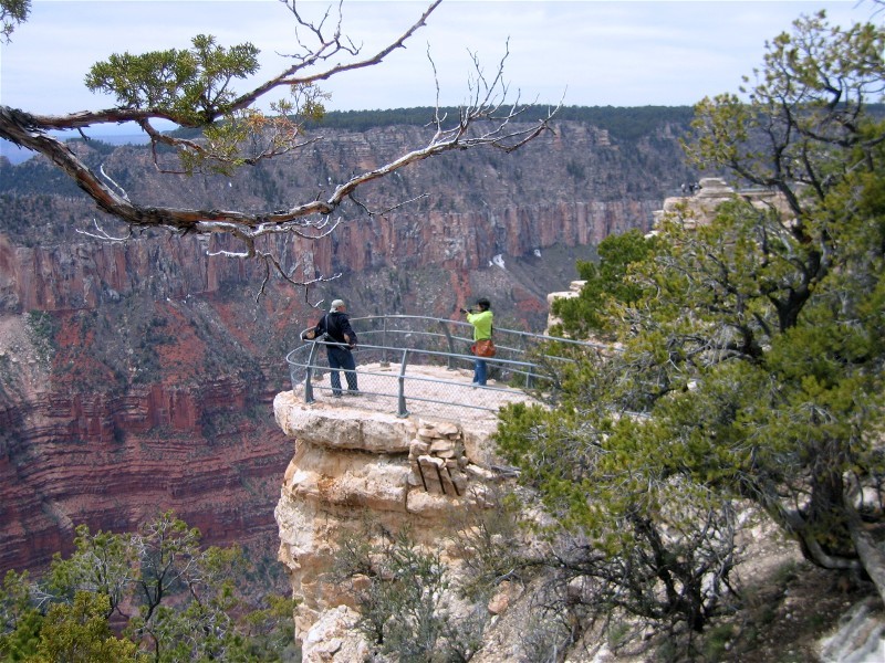 Along the Bright Angel Trail