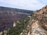 Along the Bright Angel Trail