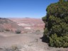 The Painted Desert