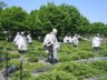 Korean War Memorial 