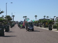 St Pats Day