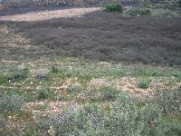 Tuzigoot NM