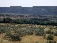 Coulee City WA