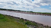 Tidal Bore