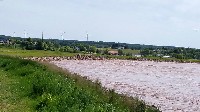 Tidal Bore