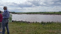 Tidal Bore